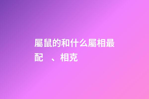 屬鼠的和什么屬相最配、相克（老鼠最忌諱的三個屬相）-第1張-星座運勢-玄機派